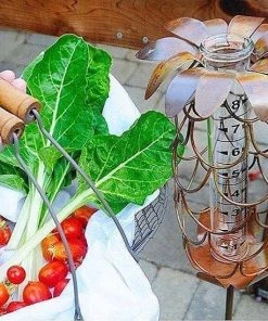 Happy Gardens Pineapple Rain Gauge Stake 5 Happy Gardens Pineapple Rain Gauge Stake