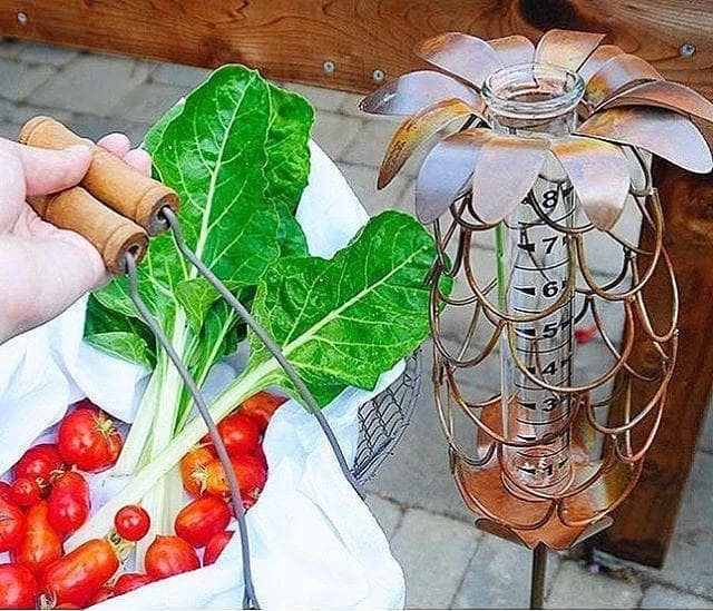 Happy Gardens Pineapple Rain Gauge Stake 4 Happy Gardens Pineapple Rain Gauge Stake