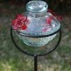 Happy Gardens Pot De Creme Staked Hummingbird Feeder, Clear, 8 Oz.