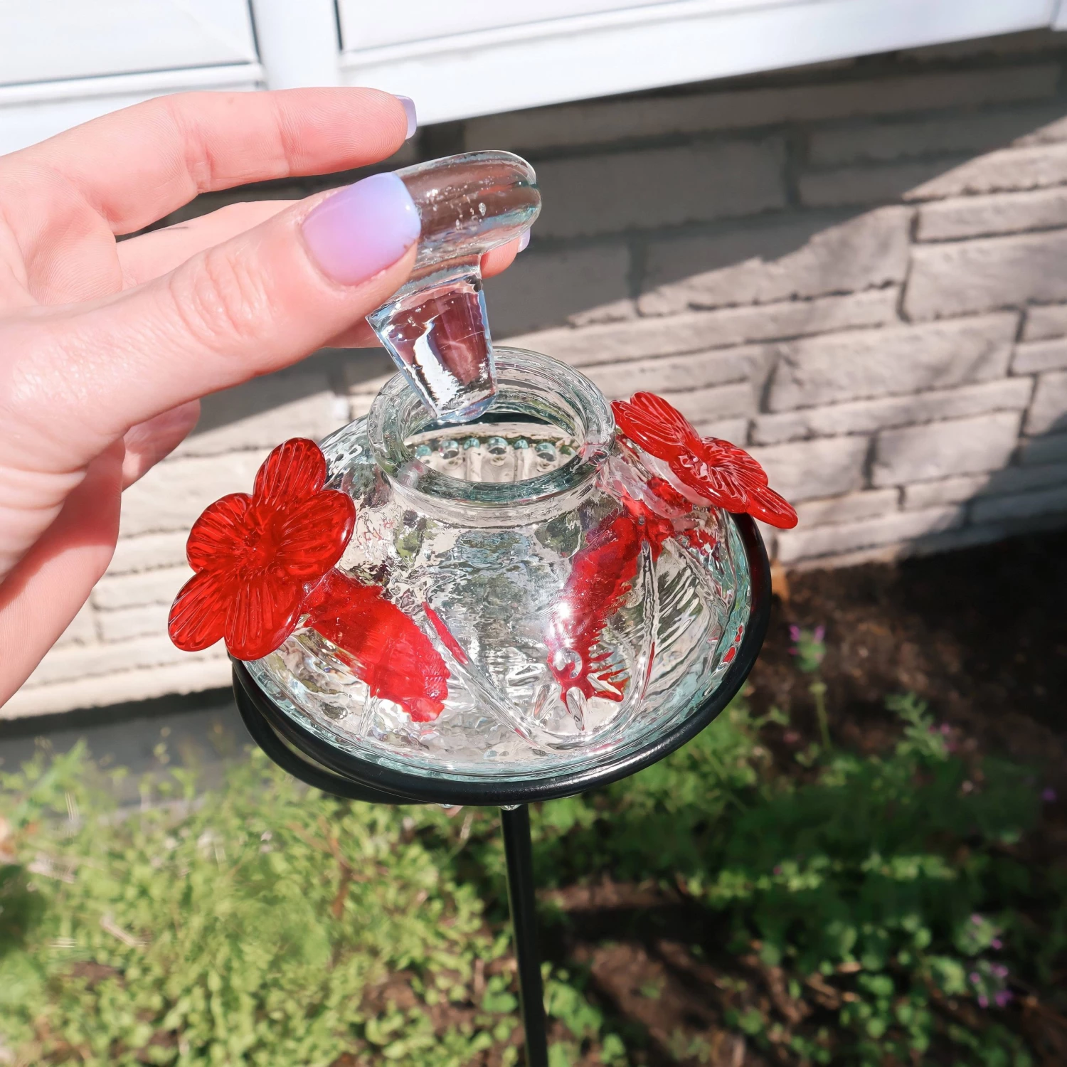 Happy Gardens Pot De Creme Staked Hummingbird Feeder, Clear, 8 Oz. 6 Happy Gardens Pot De Creme Staked Hummingbird Feeder, Clear, 8 Oz.