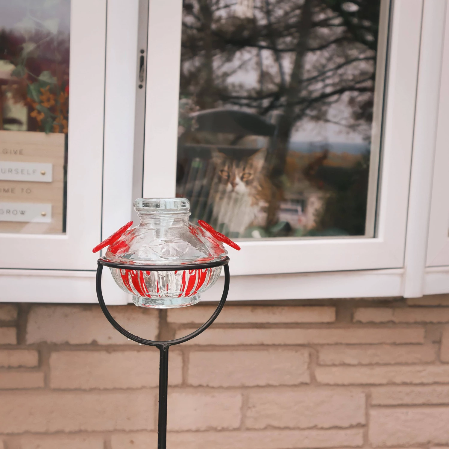 Happy Gardens Pot De Creme Staked Hummingbird Feeder, Clear, 8 Oz. 9 Happy Gardens Pot De Creme Staked Hummingbird Feeder, Clear, 8 Oz.