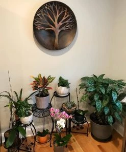 Happy Gardens Raised Tree Wall Decor Disc, 24"