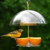 Happy Gardens Seed Saver Domed Bird Feeder Birdhouses/Baths