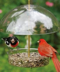 Happy Gardens Seed Saver Domed Bird Feeder Birdhouses/Baths