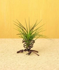 Happy Gardens Single Air Plant Holder