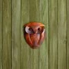 Happy Gardens Solid Owl Wall Hanging