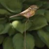 Happy Gardens Staked Bird Garden Ornament Garden Stakes & Rain Gauges