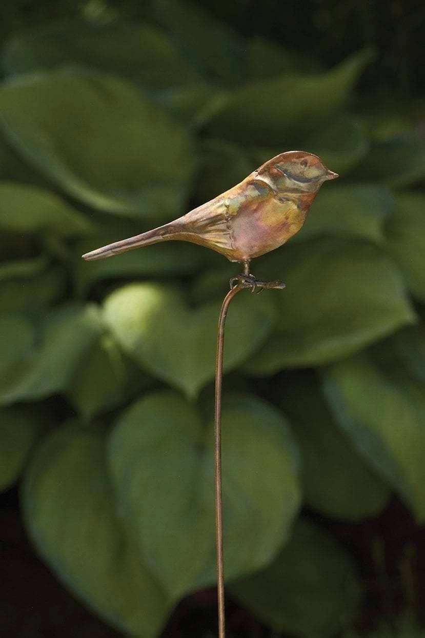Happy Gardens Staked Bird Garden Ornament Garden Stakes & Rain Gauges 3 Happy Gardens Staked Bird Garden Ornament Garden Stakes & Rain Gauges