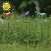 Happy Gardens Standing Bird With Rain Gauge 1 Happy Gardens Standing Bird With Rain Gauge