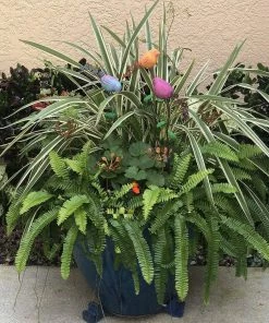 Happy Gardens Standing Birds Garden Stakes Garden Stakes & Rain Gauges