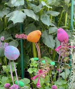 Happy Gardens Standing Birds Garden Stakes Garden Stakes & Rain Gauges