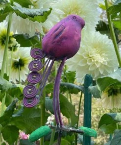 Happy Gardens Standing Birds Garden Stakes Garden Stakes & Rain Gauges