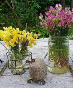 Happy Gardens Tortoise Garden Statue Statues