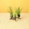 Happy Gardens Triple Air Plant Holder Accessories