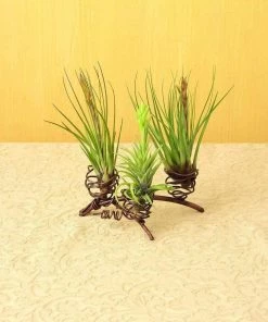 Happy Gardens Triple Air Plant Holder Accessories