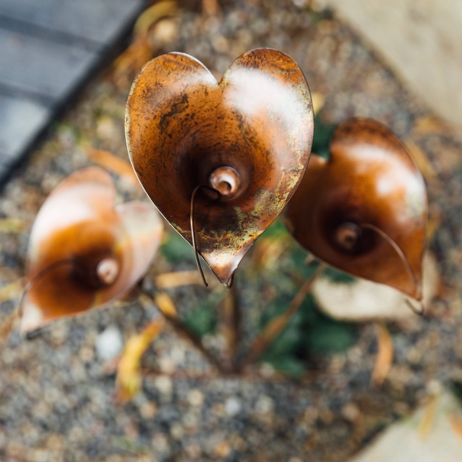 Happy Gardens Triple Calla Lily Garden Stake 6 Happy Gardens Triple Calla Lily Garden Stake