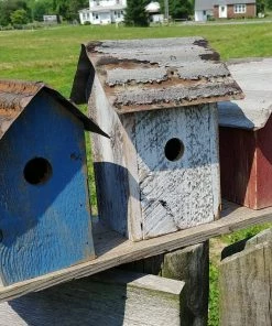 Happy Gardens Birdhouses/Baths Union Trio Birdhouse