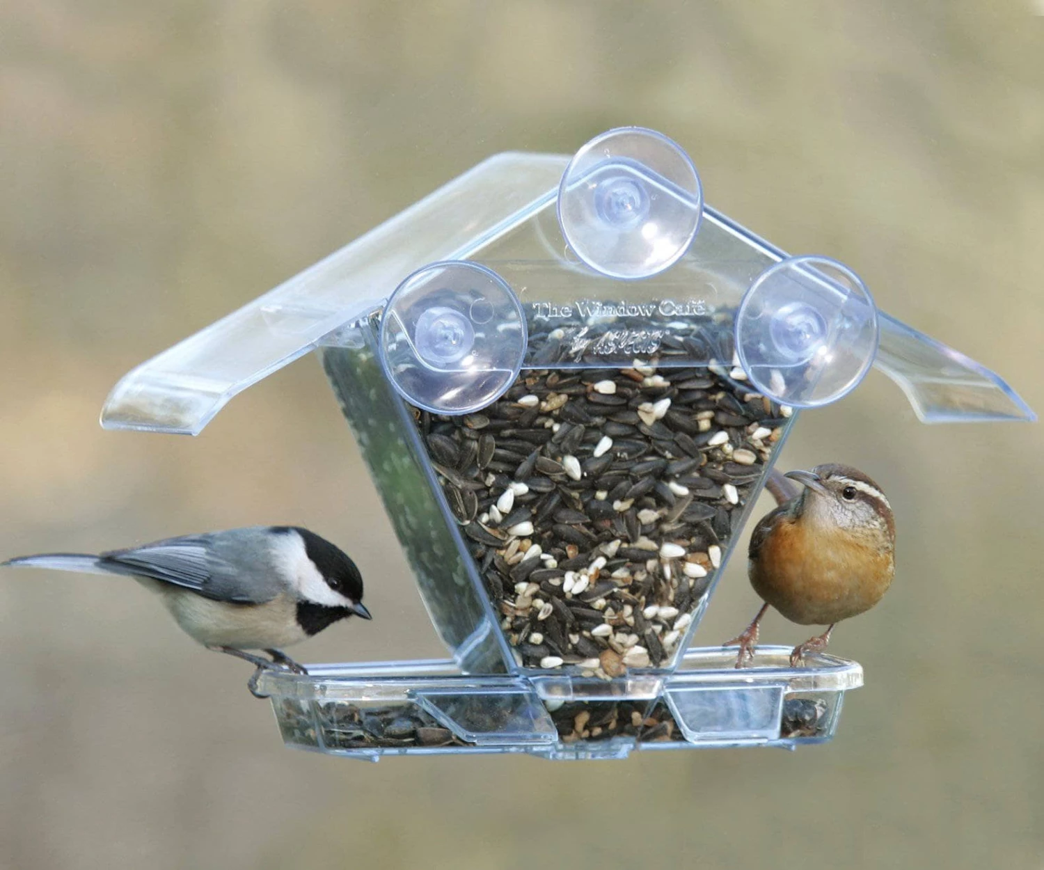 Happy Gardens Window Café Transparent Window Feeder 3 Happy Gardens Window Café Transparent Window Feeder