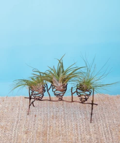 Happy Gardens Wire Standing Pot Holder With Three Pods