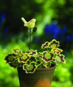 Happy Gardens Yellow Bird Plant Pick Garden Stakes & Rain Gauges