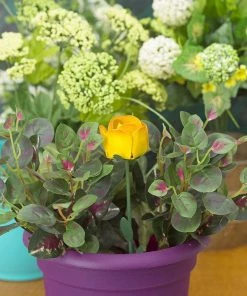 Happy Gardens Yellow Rose Plant Pick Garden Stakes & Rain Gauges